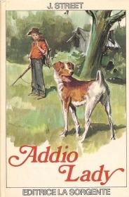 ADDIO LADY - JAMES STREET