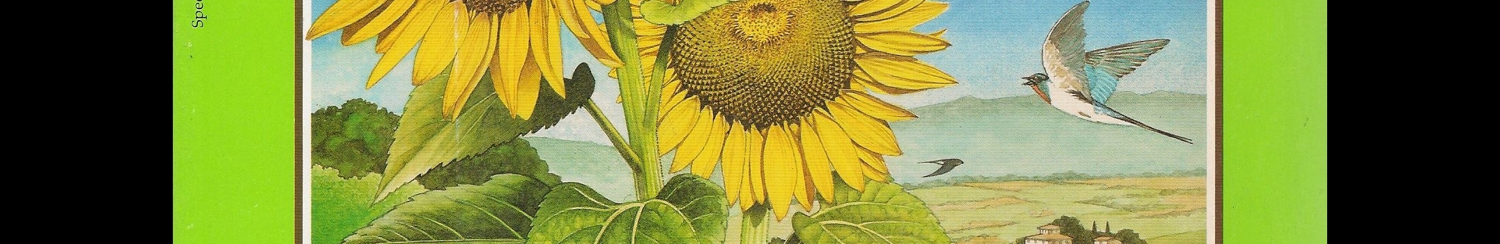 GARDENIA N. 148 - AGOSTO 1996