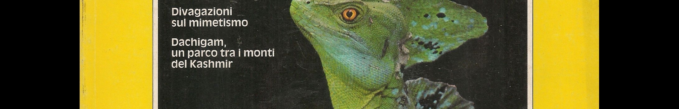 AIRONE N. 31 - NOVEMBRE 1983