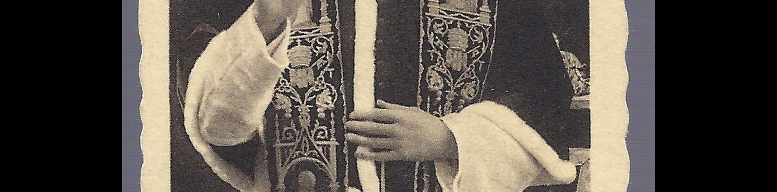 S.S. PIO XII - SANTINO - AS015-301 - Ed. Brunner